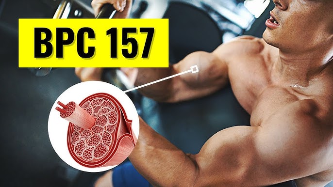 Can BPC 157 Speed Up Muscle Recovery After Workouts?
