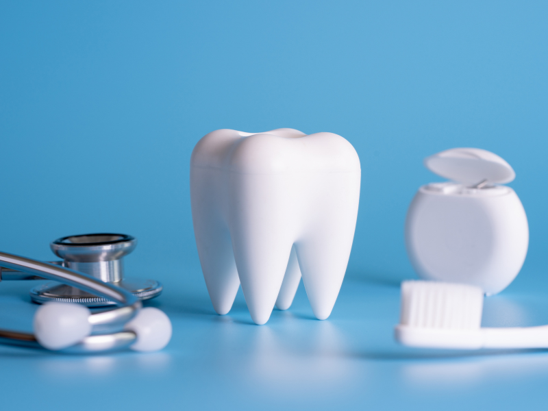 How Dental Coverage Choices Shape Workforce Wellness